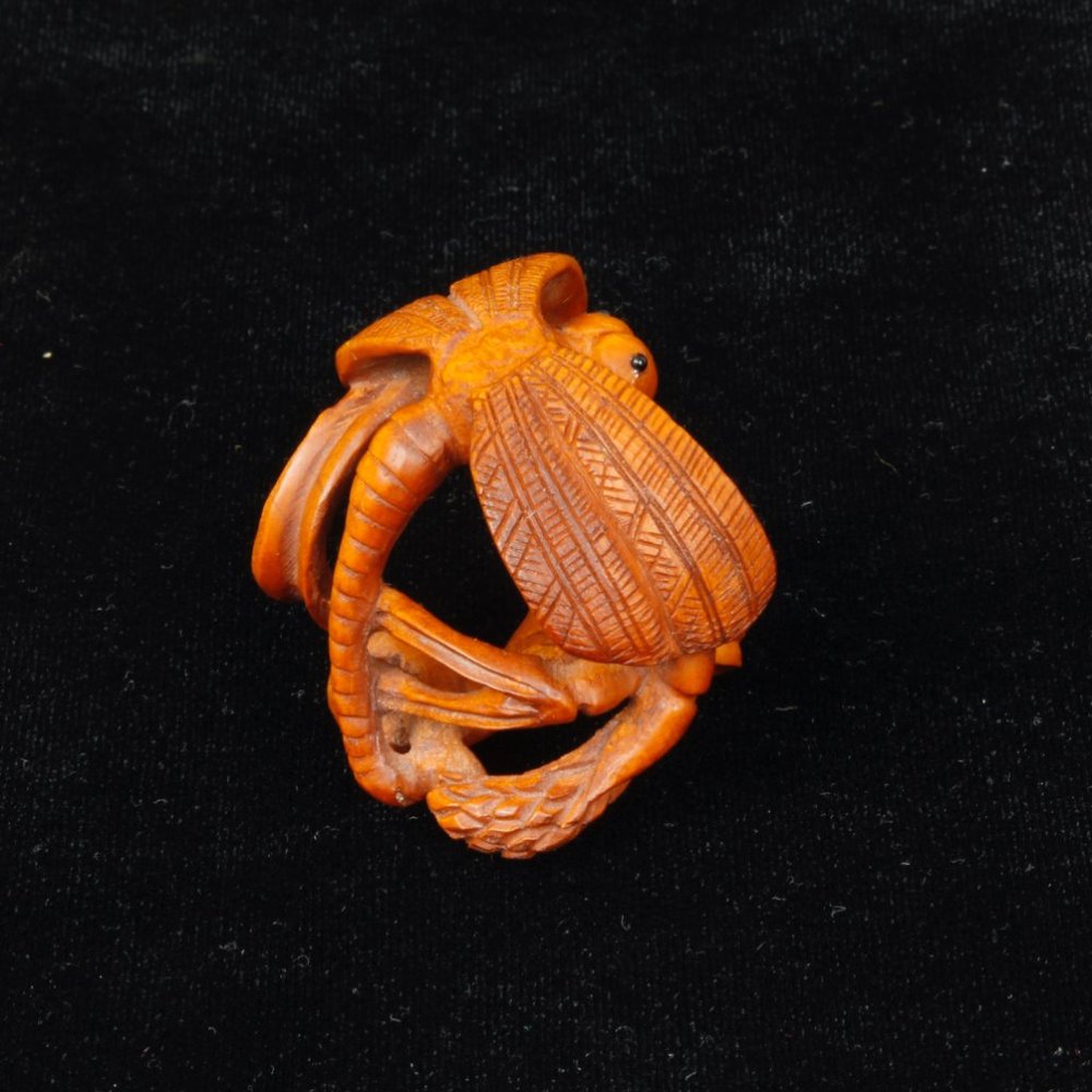 Signed Antique Japanese Boxwood Dragonfly 根付 Netsuke